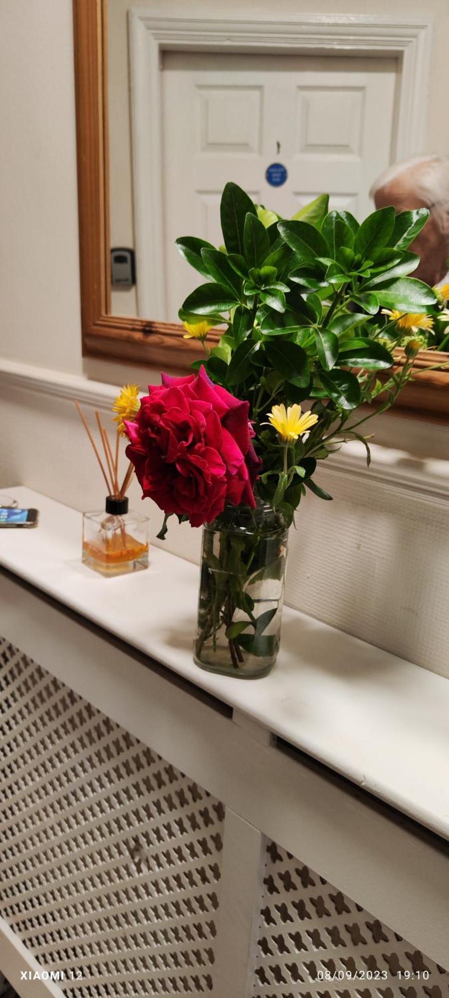 Habitación Doble con baño privado